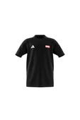 adidas Unisex Çocuk  Siyah  GRAPHIC TEE (SHORT SLEEVE J MRVL MS GFX T JC6260 thumbnail 11