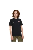 adidas Unisex Çocuk  Siyah  GRAPHIC TEE (SHORT SLEEVE J MRVL MS GFX T JC6260 thumbnail 1