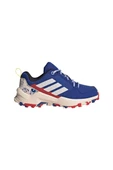 adidas Unisex Çocuk  Mavi  Bot TERREX AX4R DISNEY K IH2896 thumbnail 1