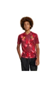 adidas Bordo Çocuk   Forma DFB A JSY Y JF2608 - 2