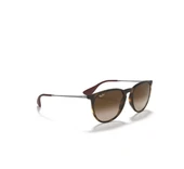 Ray-Ban Rb 4171 865/13 54-18 Unisex Güneş Gözlüğü - 1