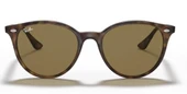 Ray-Ban Rb 4305 710  Unisex Güneş Gözlüğü thumbnail 2