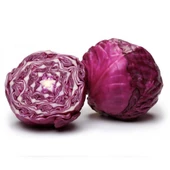 Ata Tohum Geleneksel Kırmızı Lahana Tohumu (100 tohum) thumbnail 1