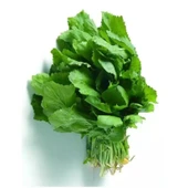 Ata Tohum Geniş Yaprak Anadolu Tere Tohumu (100 Tohum) thumbnail 1