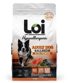 LOİ MEDIUM ADULT SOMONLU KÖPEK MAMASI 3 KG - 1