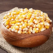 Ata Tohum Geleneksel Patlatmalık Cin Mısırı Tohumu (20 tohum) thumbnail 1