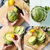 Ata Tohum Geleneksek Yeşil Green Globe Enginar Tohumu(10 Tohum) thumbnail 1