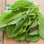 Geleneksel Anadolu Geniş Yaprak Ekşi Otu Kuzu Kulağı Tohumu (200 tohum) thumbnail 1