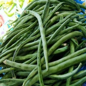 Doğal Sırık Börülce Tohumu (20 Tohum) - 1