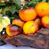 İri Etli Meyveli Wolverine Domates Tohumu (15 tohum) thumbnail 1