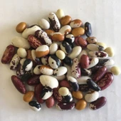 Geleneksel Mixed Fasulye Tohumları (10 tohum) thumbnail 1