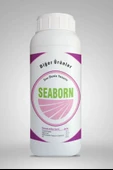 Seaborn 1Lt - 1