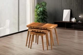 NİVEMESHOME SAFARİ CEVİZ ZİGON SEHPA - 1