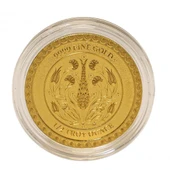 AgaKulche Mevlana 1/2 Ons 2024 Altın Sikke Coin - 6