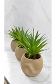 DDTREND Yapay Kaktüs Haworthia Limifolia Sukulent 3'Lü Bej Saksılı Yeşil Renk 16 cm. - 2