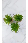 DDTREND Yapay Kaktüs Haworthia Limifolia Sukulent 3'Lü Bej Saksılı Yeşil Renk 16 cm. - 1