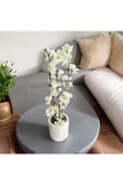 DDTREND Beton Saksıda Gerçek Taş Yosunlu Yapay Japon Kiraz Çiçeği,Saksı ,Aranjman , Ev dekorasyon - 2