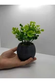 DDTREND Mini Saksıda Yapay Bitki Şimşir Gerçek Taş Yosunlu Toplam 18 Cm Dekoratif Banyo Mutfak Masa Çiçeği thumbnail 2