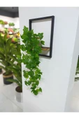 DDTREND Ahşap Çerçeve Raflı Saksıda Sarkan Yeşil Hadera Yaprağı 5 Dal Sarmaşık Yapay Çiçek - 2