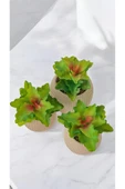 DDTREND Yapay Kaktüs Echeveria Rosea Enrica Sukulent 3'Lü Bej Saksılı Kırmızılı Yeşil Renk 11 cm. - 3