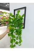 DDTREND Ahşap Çerçeve Raflı Saksıda Sarkan Üzüm Yaprağı 5 Dal Sarmaşık Yapay Çiçek - 5