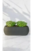 DDTREND Yapay Kaktüs Sempervivum Tomentosum Sukulent Gri Saksılı Yeşil Renk 11 cm. - 4