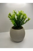 DDTREND Mini Saksıda Afrika Zambağı Yapay Bitki Gerçek Taş Yosunlu 18 Cm Dekoratif Banyo Mutfak Masa Çiçeği - 3
