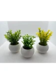 DDTREND Beton Saksıda 3 lü Set Yapay Çiçek Bitki , Gerçek Taş Yosunlu DDBS-01 thumbnail 1