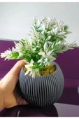 DDTREND Saksıda Yeşil Beyaz Yapay Bitki Garnitür Taş Yosunlu 20 Cm Dekoratif Banyo Mutfak Masa Çiçeği - 5
