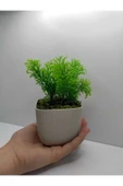 DDTREND Anneler Günü Hediyesi Mini Kare Saksıda Çim Yeşili Yapay Çiçek Bitki , Gerçek Taş Yosunlu thumbnail 3