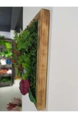 DDPEST Ahşap Çerçeveli Yapay Çİçek Duvar Paneli Şimşir Dikey Bahçe Aranjman 48-68 Cm MODEL:4 - 2