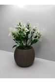 DDTREND Mini Saksıda Yeşil Beyaz Yapay Bitki Garnitür Taş Yosunlu 17 Cm Dekoratif Banyo Mutfak Masa Çiçeği - 2