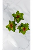 DDTREND Yapay Kaktüs Echeveria Rosea Enrica Sukulent 3'Lü Bej Saksılı Kırmızılı Yeşil Renk 11 cm. - 4