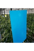 Biogreen Yapışkan Mavi Kart Tuzak 10 Cm X 25 Cm 10 Adet - 3