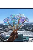 DDTREND Sonsuzluk Gülü Rengarenk Hologramlı Sevgililer Günü Anneler Günü Hediyesi 24 Cm 1 ADET - 6