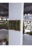 DDTREND Ahşap Çerçeveli Yapay Çİçek Duvar Paneli Şimşir Dikey Bahçe Aranjman 48-68 Cm MODEL:2 - 6