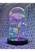 DDTREND Solmayan Sonsuzluk Gülü Fanuslu Gece Lambası Sevgililer Günü Dekoratif Rengarenk Peri Led Işıklı - 1