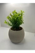 DDTREND Mini Saksıda Afrika Zambağı Yapay Bitki Gerçek Taş Yosunlu 18 Cm Dekoratif Banyo Mutfak Masa Çiçeği - 4