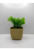 DDTREND Mini Kare Saksıda Çim Yeşili Yapay Çiçek Bitki , Gerçek Taş Yosunlu Banyo Mutfak Masa Çiçeği - 1