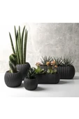 DDTREND Dekoratif 5 Parça Modern Mercan Saksı Seti (BİTKİLER DAHİL DEĞİLDİR) - 1