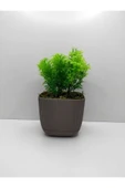 DDTREND Mini Kare Saksıda Çim Yeşili Yapay Çiçek Bitki , Gerçek Taş Yosunlu Banyo Mutfak Masa Çiçeği - 2