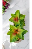 DDTREND Yapay Kaktüs Echeveria Rosea Enrica Sukulent BEJ Saksılı Yeşil Renk 11 cm. thumbnail 1
