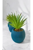 DDTREND Yapay Kaktüs Haworthia Limifolia Sukulent 3'Lü Mavi Saksılı Yeşil Renk 16 cm. - 2