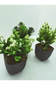 DDTREND 3 LÜ Set Saksıda Yapay Çiçek Bitki , Gerçek Taş Yosunlu DDKS1-02 thumbnail 4