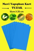 Biogreen Yapışkan Mavi Kart Tuzak 10 Cm X 25 Cm 10 Adet - 2