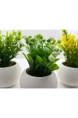 DDTREND Beton Saksıda 3 lü Set Yapay Çiçek Bitki , Gerçek Taş Yosunlu DDBS-01 thumbnail 3