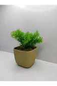 DDTREND Mini Kare Saksıda Çim Yeşili Yapay Çiçek Bitki , Gerçek Taş Yosunlu Banyo Mutfak Masa Çiçeği - 2