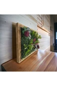 DDPEST Ahşap Çerçeveli Yapay Çİçek Duvar Paneli Şimşir Dikey Bahçe Aranjman 48-68 Cm MODEL:4 - 3