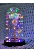 DDTREND Solmayan Sonsuzluk Gülü Fanuslu Gece Lambası Sevgililer Günü Dekoratif Rengarenk Peri Led Işıklı - 2
