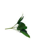 DDPEST 9 Dallı 30 Cm Dekoratif Yapay Çiçek 9 Dal Demet Yapay Yaprak 30 cm - 3